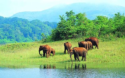 Thekkady